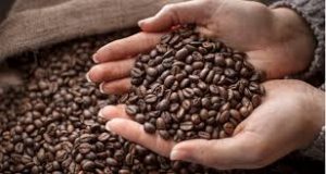 Coffee Beans Image