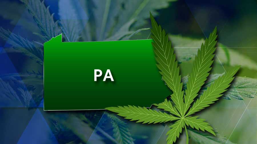 Pennsylvania's Medical Marijuana Image